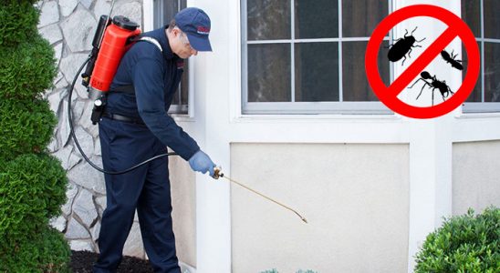 Bucak Dezenfeksiyon böcek ilaçlama ve haşere kontrolü — ilaclama-tr.com